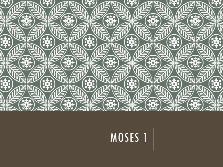 moses 1 n.w