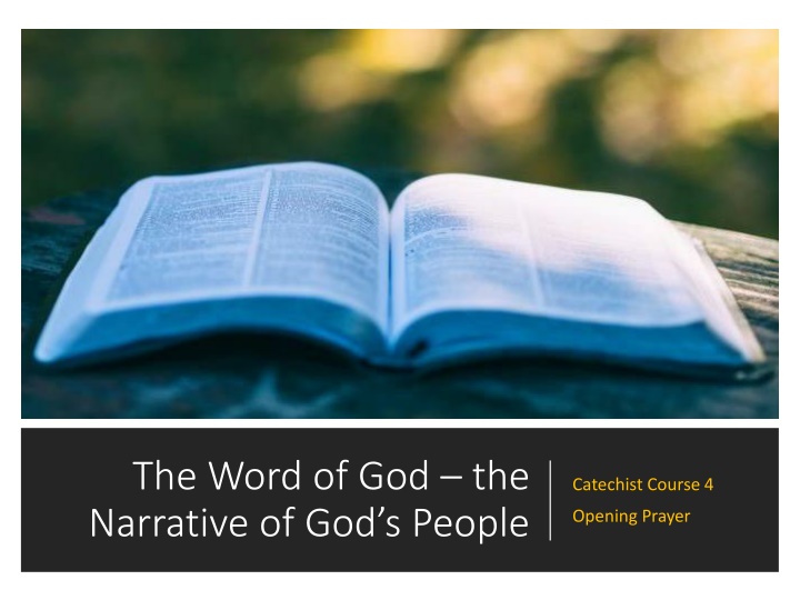 The Word of God: Narrative of God's People Catechist Course 4