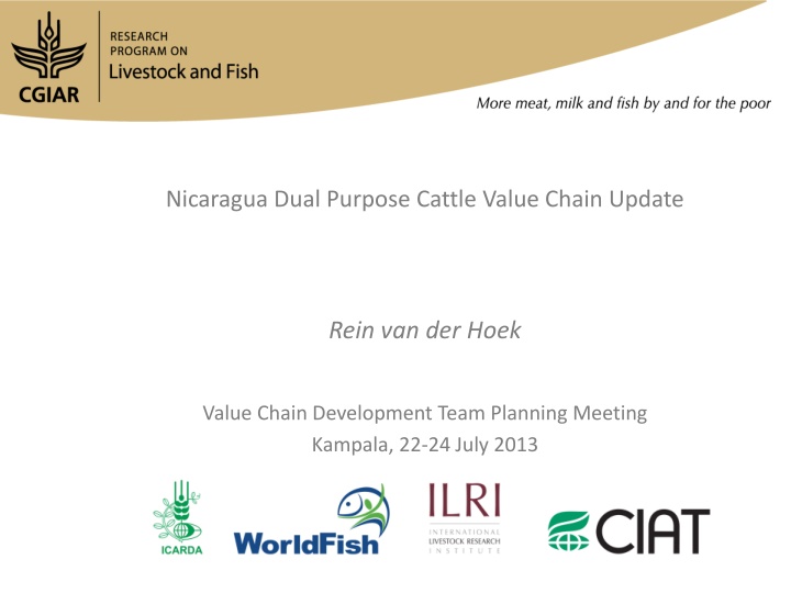 Nicaragua Dual Purpose Cattle Value Chain Update