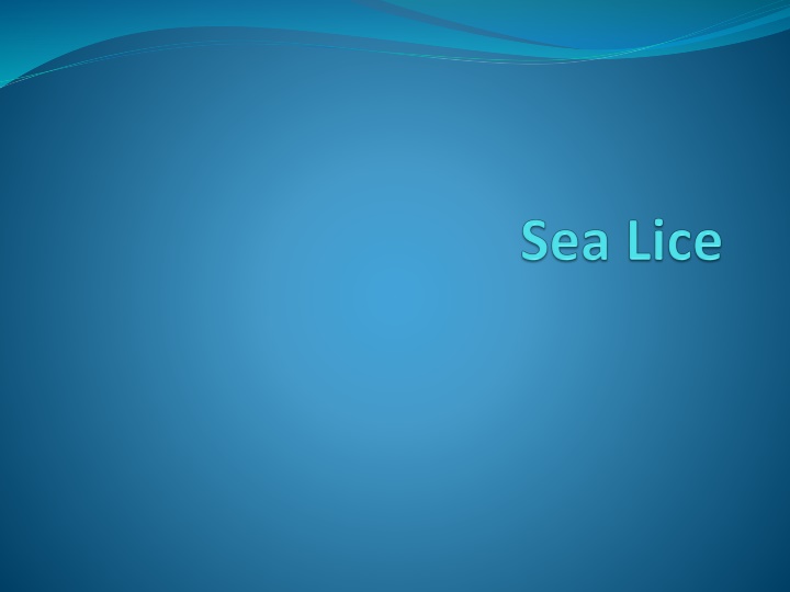 slide1 n.w