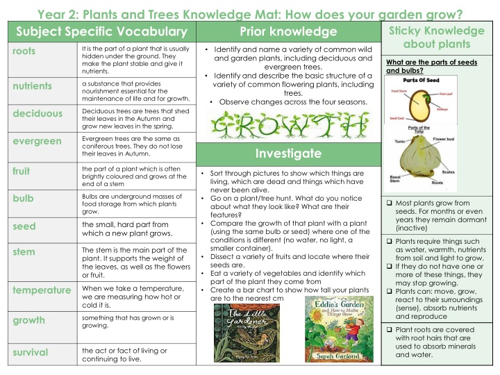 year 2 plants and trees knowledge mat how does n.w