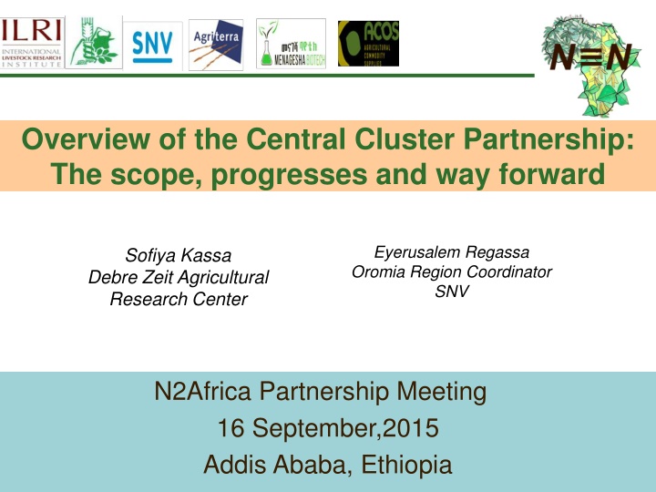 overview of the central cluster partnership n.w