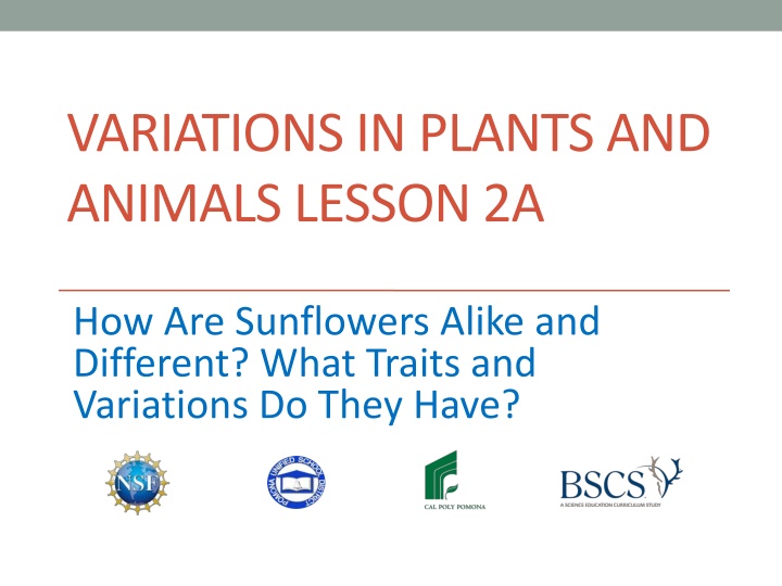 variations in plants and animals lesson 2a n.w