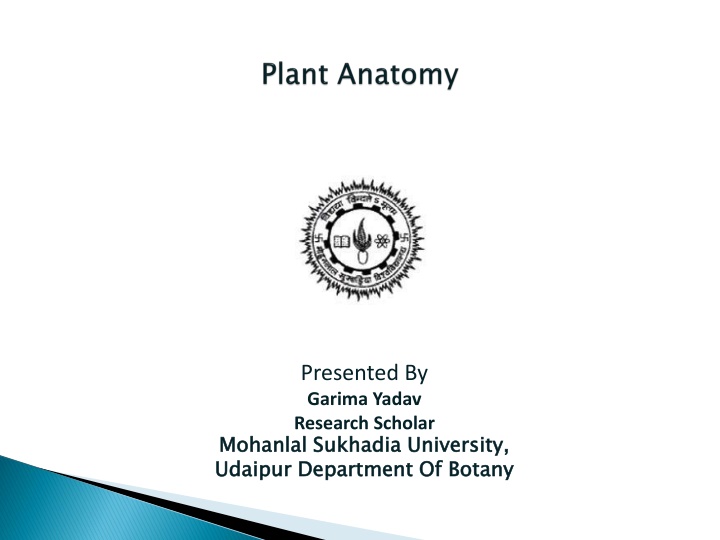 presented by garima yadav research scholar n.w