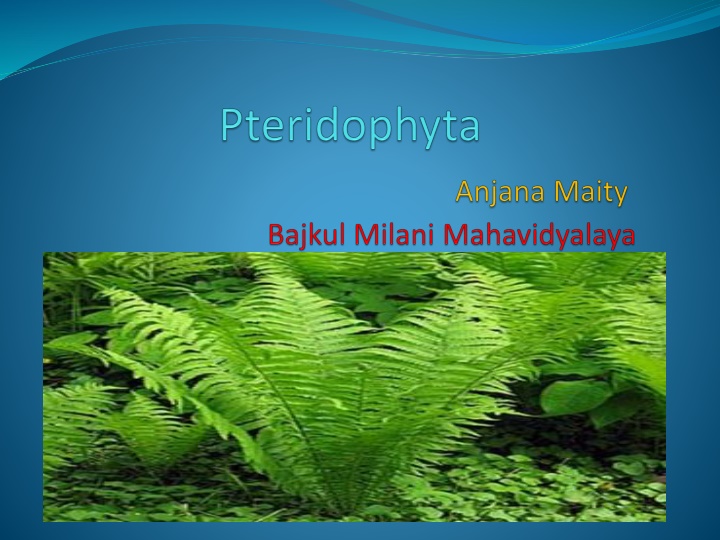 slide1 n.w