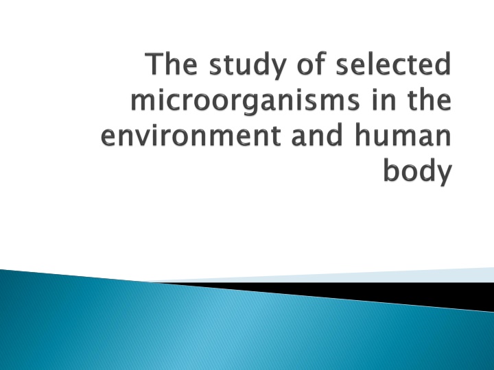 slide1 n.w