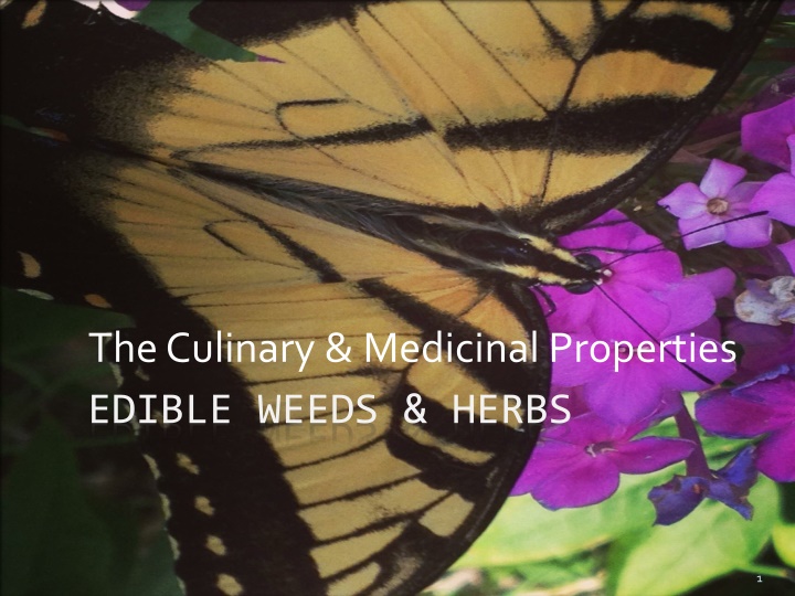the culinary medicinal properties n.w