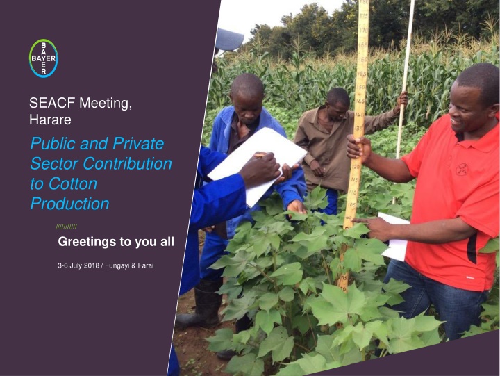 seacf meeting harare public and private sector n.w