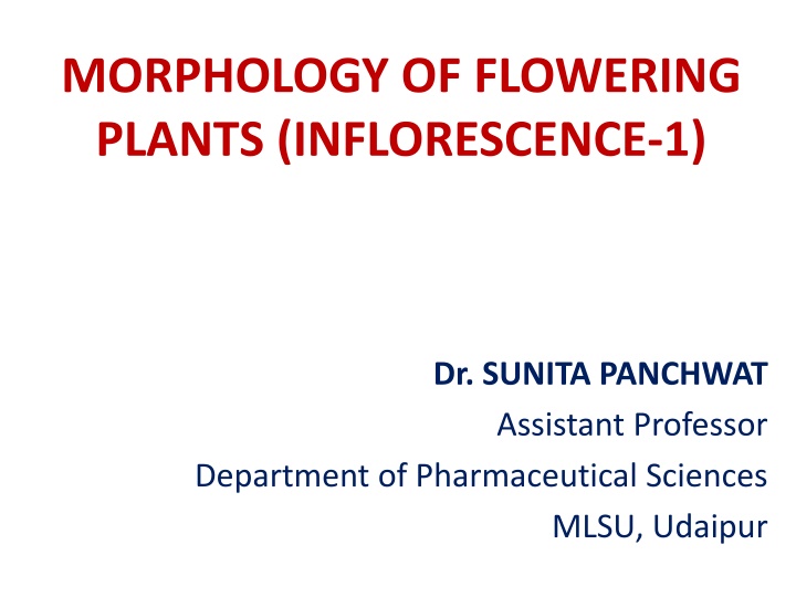 morphology of flowering plants inflorescence 1 n.w