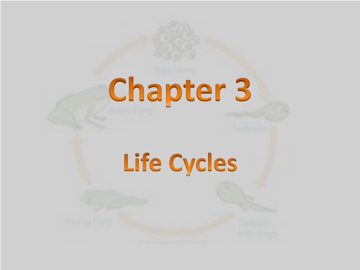 Life Cycles: Plant and Animal Development