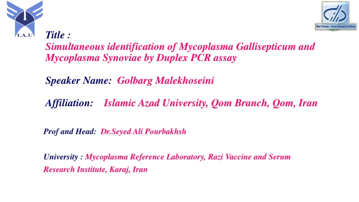 title simultaneous identification of mycoplasma n.w