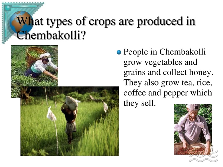 what types of crops are produced in chembakolli n.w