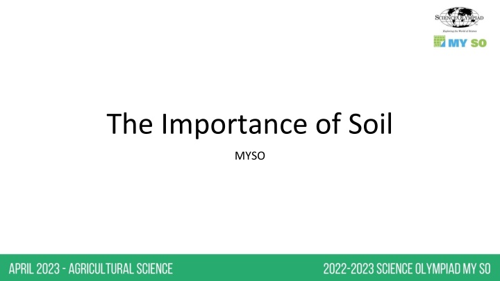 the importance of soil n.w