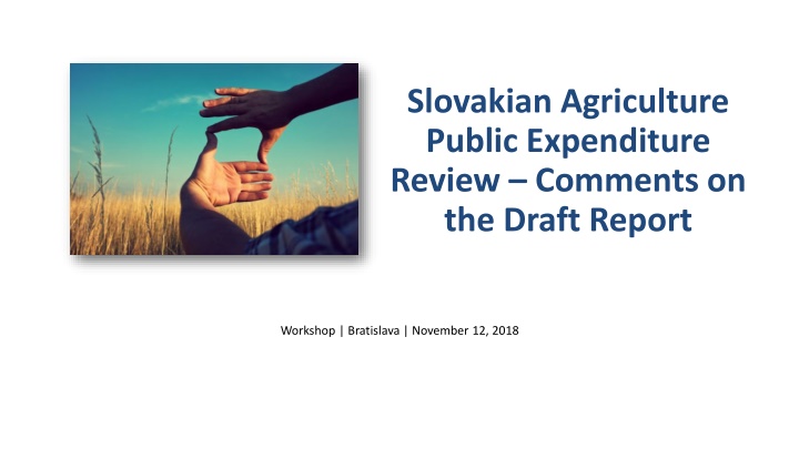 slovakian agriculture public expenditure review n.w