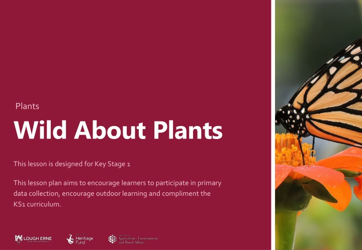 plants n.w