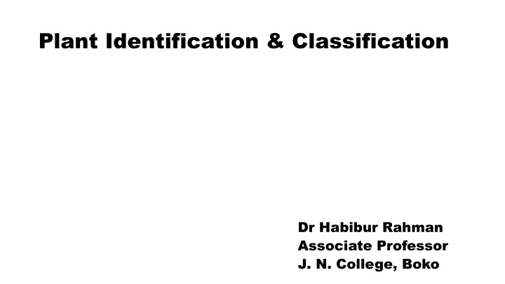 plant identification classification n.w