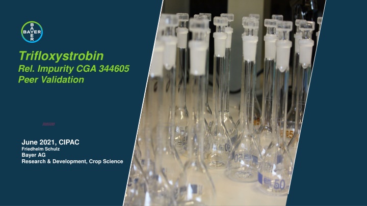 trifloxystrobin rel impurity cga 344605 peer n.w