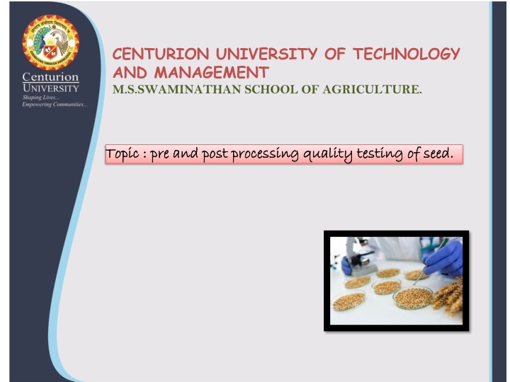 Seed Processing and Quality Testing: Importance and Principles
