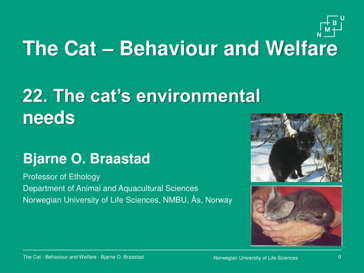 the cat behaviour and welfare n.w