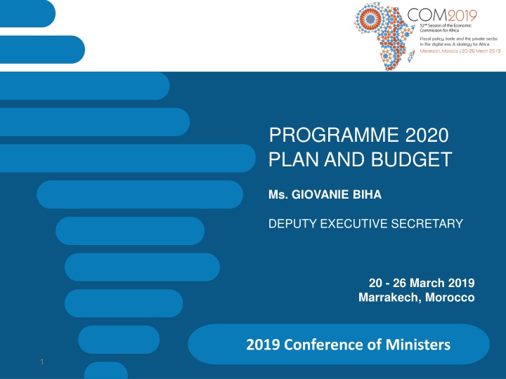 programme 2020 plan and budget n.w