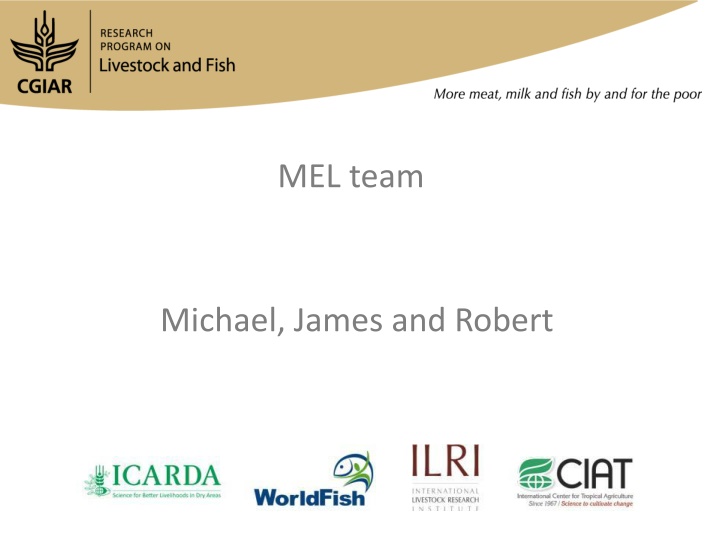 mel team n.w