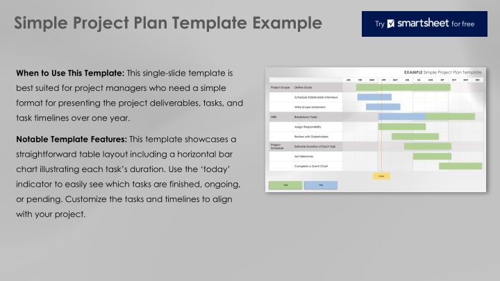 simple project plan template example n.w