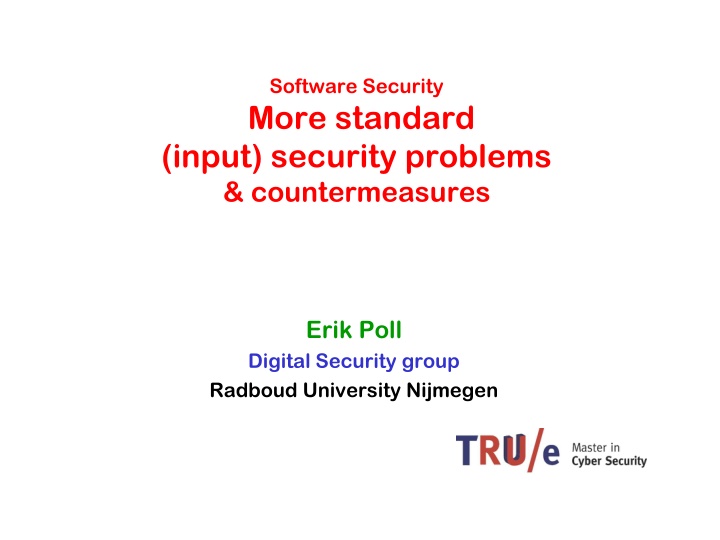 software security more standard input security n.w