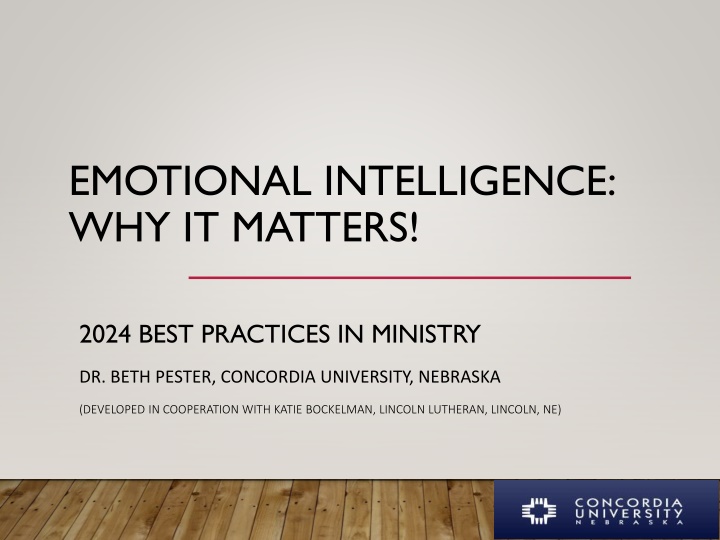 emotional intelligence why it matters n.w