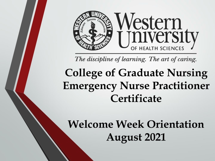 college of graduate nursing emergency nurse n.w