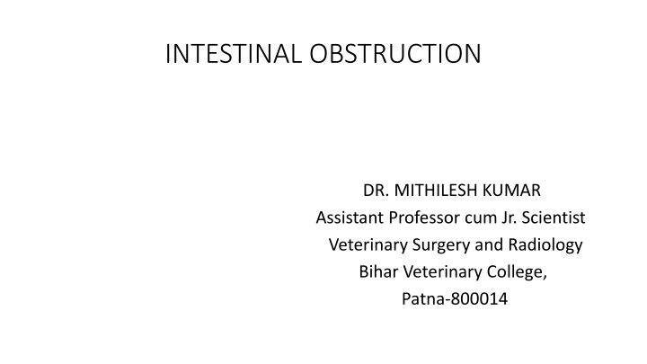 intestinal obstruction n.w
