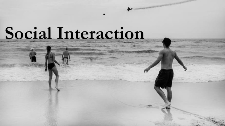 social interaction n.w