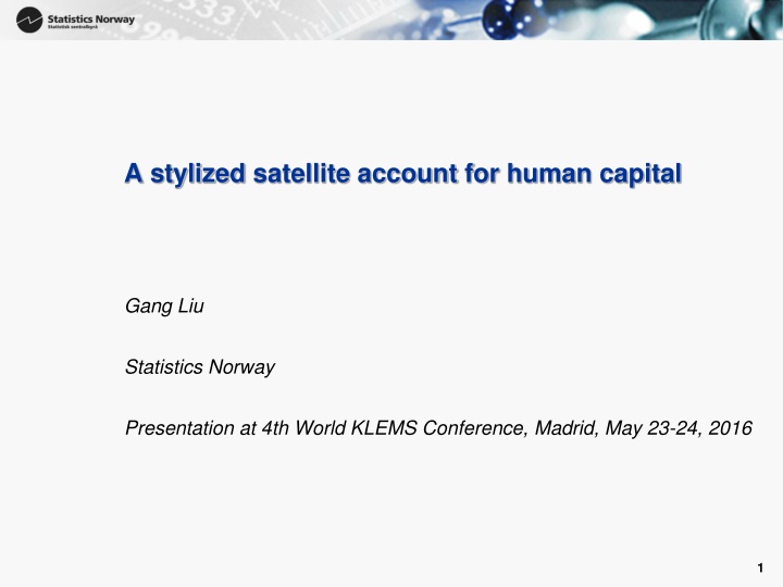 Stylized Satellite Account for Human Capital