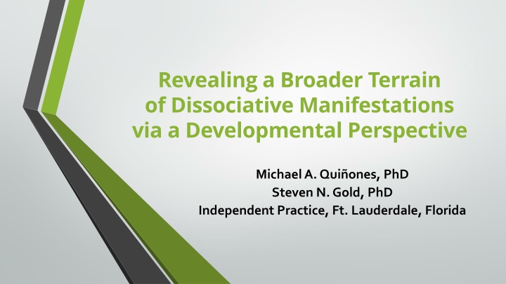revealing a broader terrain of dissociative n.w