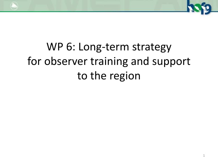 wp 6 long term strategy for observer training n.w