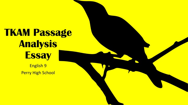 tkam passage analysis essay n.w