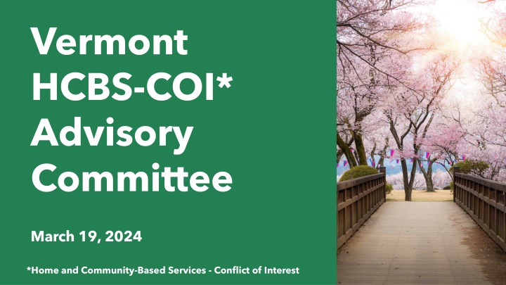 vermont hcbs coi advisory committee n.w