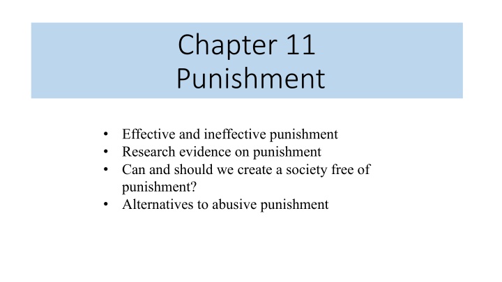 chapter 11 punishment n.w