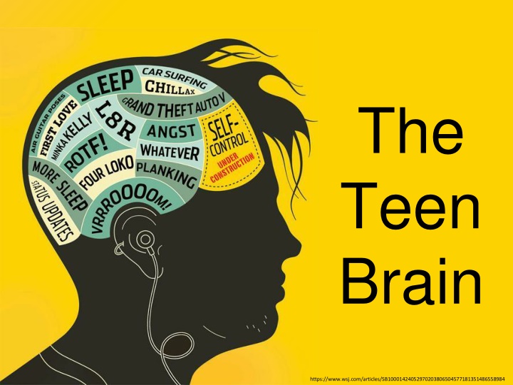 the teen brain n.w
