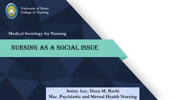 university of basra college of nursing n.w