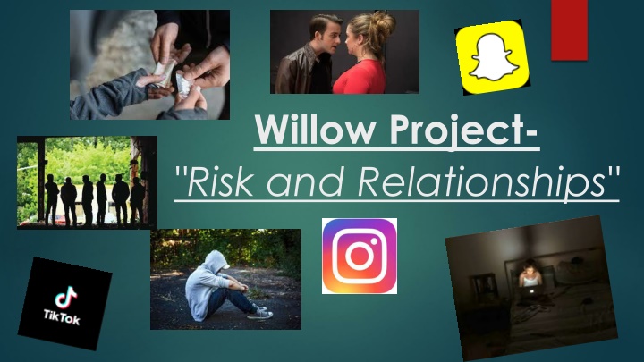 willow project risk and relationships n.w