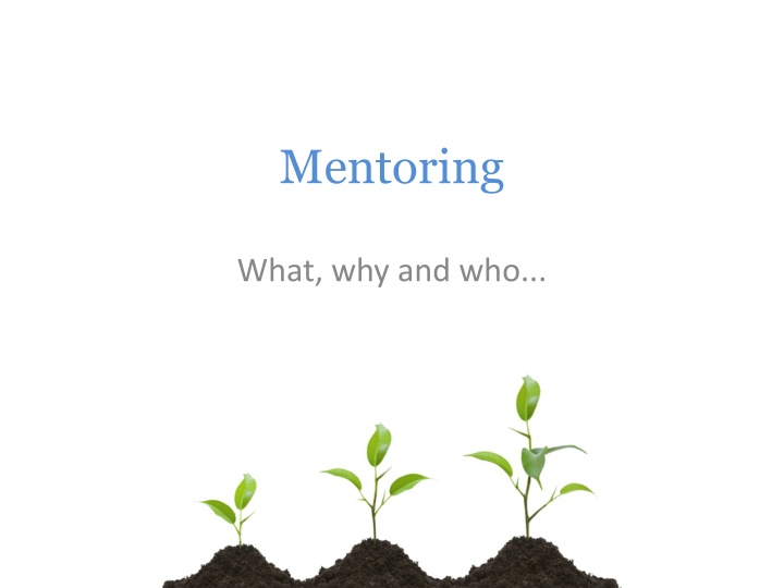 mentoring n.w