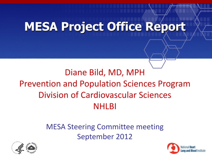 mesa project office report n.w