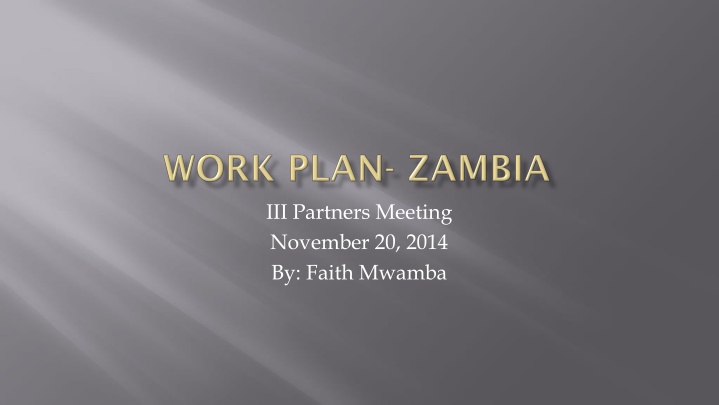 Partners Meeting November 20, 2014 by Faith - III Partners Meeting Activities Description