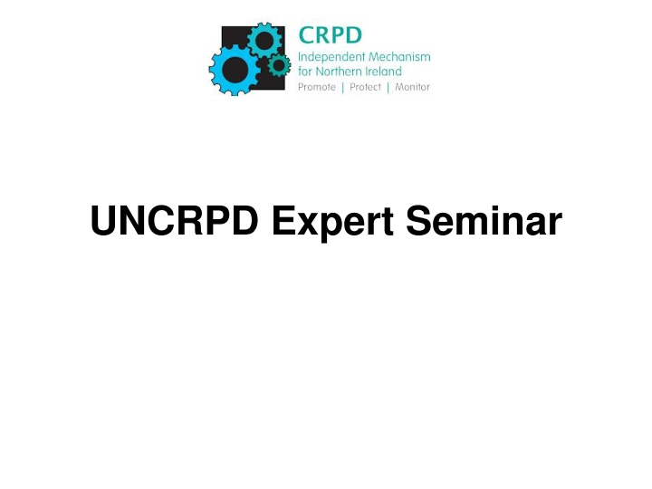 uncrpd expert seminar n.w