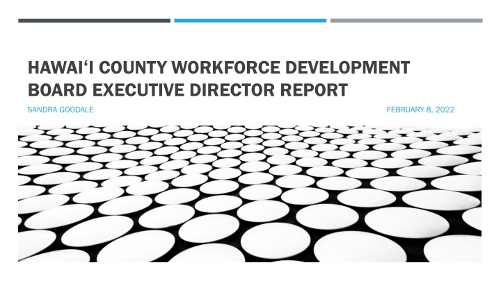 Hawaii County Workforce Development Board Executive Director Report