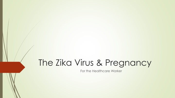Zika Virus & Pregnancy: Overview, Spread, Symptoms & Treatment