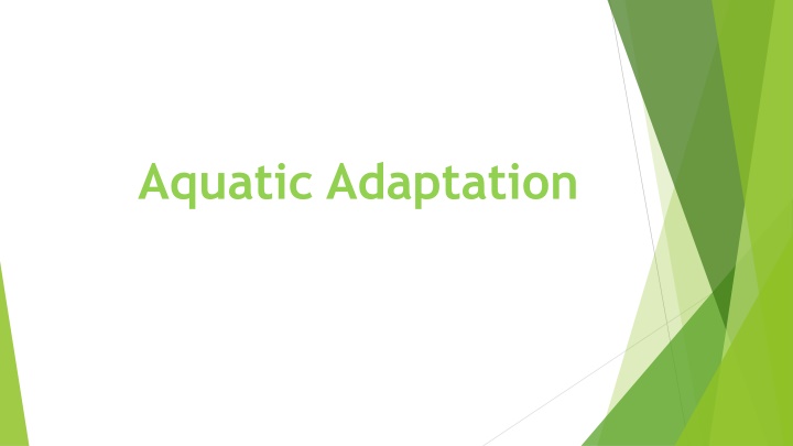 aquatic adaptation n.w