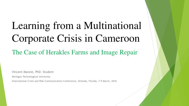 learning from a multinational corporate crisis n.w