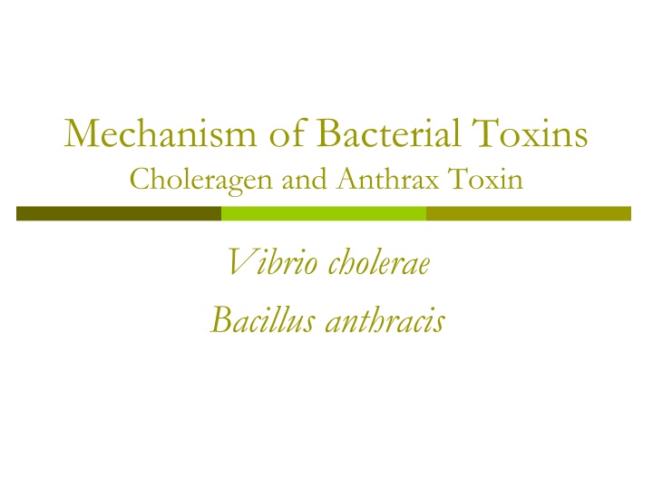 mechanism of bacterial toxins choleragen n.w