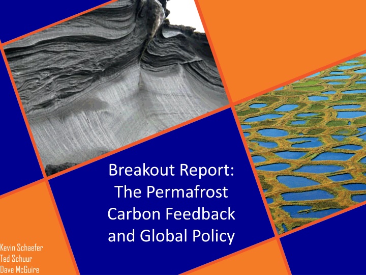 breakout report the permafrost carbon feedback n.w
